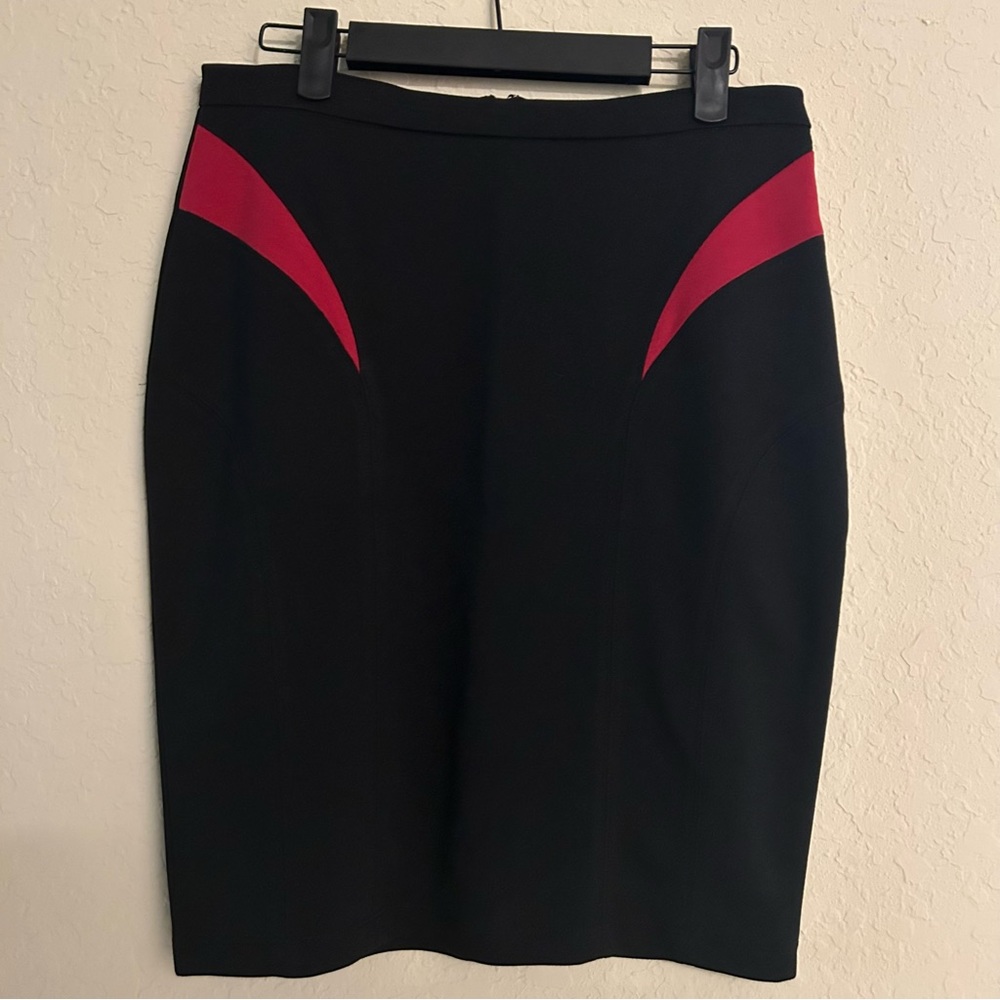 The Limited skirt